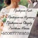 �������� �������� ����. ������ ������������ � �����. ����� ����� � �����. - ����������� 2