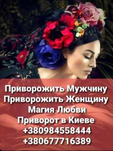 �������� �������� ����. ������ ������������ ������� ���� - ����������� 1