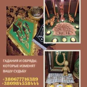 �������� �������� ���� | ������ ������������ �������� �������. - ����������� 1