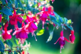 �������� ��������, ����� �����, ������� ���� � �����. ���������� ������ � �������� - ����������� 1