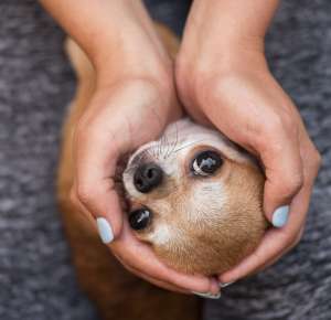 �������� ��������, ����� ������ ��� ����� - ����������� 1