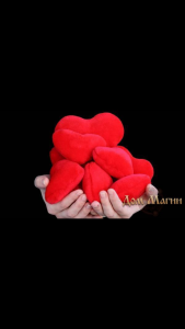 �������� ��������. ������ �� ���������� - ����������� 1