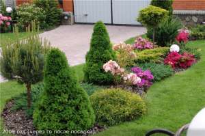 �������� �������� "������ ��� ������� �������� � �������������" - ����������� 1