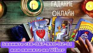 �������� ��������. ������ �����. ���������� �� �����������. �������� �����. ����� �� �������. ������� . ������� ������ - ����������� 1