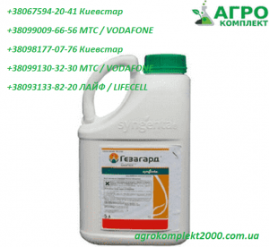 �������� �������� ������, ������� - ����������� 1