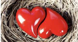 �������� �������� ������, �������� � ������, ��������� ����� ������. ������ ����� ������. ������, �������� �������� - ����������� 1