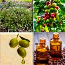 ������� � ����������: �������� �������� �������