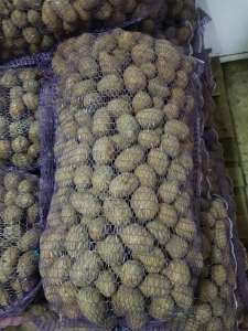 �������� �������� ������� - ����������� 1