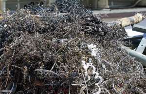 �������� �������� �������. - ����������� 1