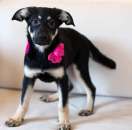 ��������, �������� ������� ���� ������� ����� - ����������� 3