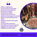 ������� � ����������: �������� �������� �������� � �����.