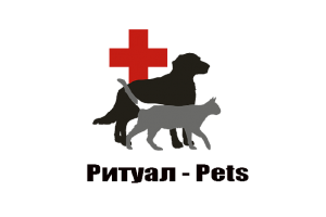 �������� �������� �������� � ������ - ����������� 1