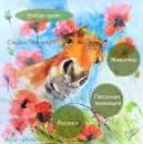 ������� � ����������: �������� �������� ��������, ����� ��������.