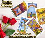 ������� � ����������: �������� �������� ��������. �������� ��������. ������ ���������� �������.