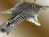 �-������� (�������� ��������� �� ����������� ����) - ����������� 3