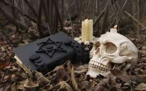 �������� ��������, ��������� ���������. �����. ������ � ����� ����� ���� - ����������� 1