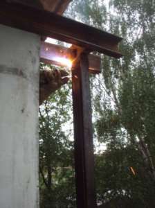 �������� "��������" ��������� ������������ ���� ���������� �� ����� � ����. - ����������� 1