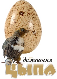 �������� ��������, ����������� ���� - ����������� 1