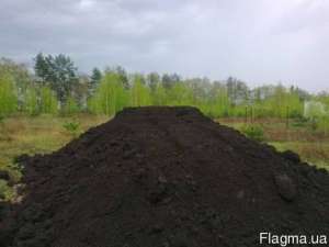 �������� �������� ������������ ����� - ����������� 1