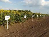 ������� � ����������: �������� �������� ������������� � ��������