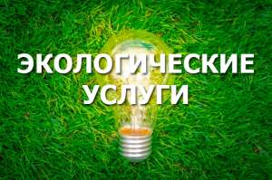 �������� ��������. ������������� ������������ � ������ - ����������� 1