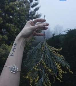 �������� ��������. ��������������� ������+380972727328 - ����������� 1