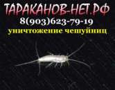 ������� � ����������: �������� ��������� � ��������. ��� ����������, ���������, �������?