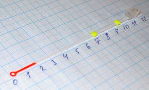 �������� ��������� � ������������, �������� �����. - ����������� 1