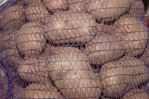 �������� ��������� �� �������������, �� 7�/��. - ����������� 1