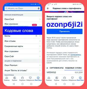 �������� ��������� ���� - ozonp6ji2i 300 ������ - ����������� 1