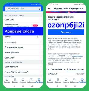 �������� ��������� ���� - ozonp6ji2i 300 ������ - ����������� 1