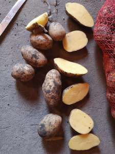 �������� ��������� | ������ �������� ����� ���. ������ ���� �������. ²� 20 ���� - ����������� 1