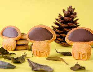 �������� ��������� ������� (�������, �������, ���,����, ����������� ������ � ��.) - ����������� 1