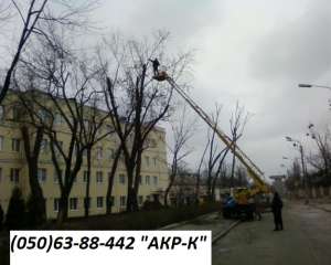 �������� ��������� �������� 0506388442 - ����������� 1