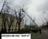 �������� ��������� �������� 0506388442 - ����������� 1