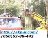 �������� ��������� �������� 0506388442 - ����������� 2