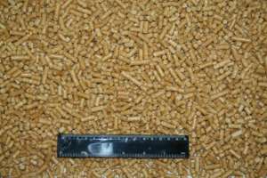 �������� ��������� ���������� �� ������ ����� ���������� - ����������� 1