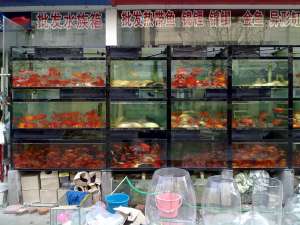 �������� ���������� �� 4500 ��������-�����. - ����������� 1