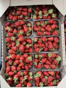 �������� ���������� �� ��� ����� - ����������� 1