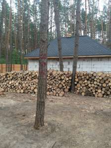 �������� ���������� �� �������� ������ - ����������� 1