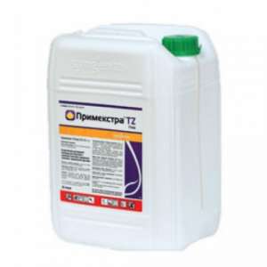 �������� ���������� ���� - ����������� 1