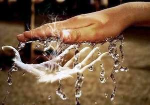 �������� ���������� ������ - ����������� 1