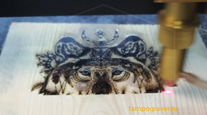 �������� ����������, ������. - ����������� 1