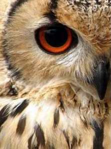 �������� ���������� ������ � ��������� � ����� ������ ����. ������������ - ����������� 1