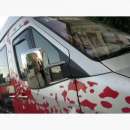 ������� � ����������: �������� ����������, ������ ����, ���, �����������