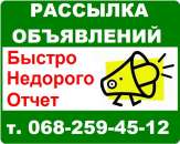 ������� � ����������: �������� ����������. ������. ��������. ��� �������.