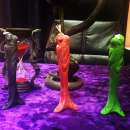 ��������. ���������� �������. ����� �����. ������������ ���������.. �����, ������� � ����������� - ������