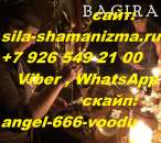 �������� ����������,- ������� ��������, �������� �� ������, �������� ��������: ׸���� �������� � ������� �����, �� ���������� - ����������� 2