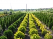 �������� �����-����� ����������� � ������� ������������ �������� � �. ��������. - ����������� 3