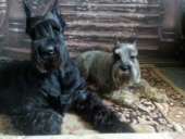 �������� ���������� �������������� ������ - ����������� 2